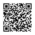 QR Ропивакаин Синтетика 3мг/мл 250мл пакетик 5 шт.