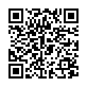 QR Столові прилади балон Cystofix змінні Ch14 40cm Ger 5 шт