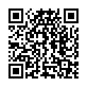 QR SpeediCath Flex mini-pack одноразовий катетер CH14 33см man 30шт