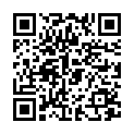 QR B. BRAUN Sol-M Spr 100мл Kath конектор Люер
