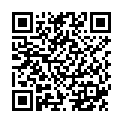 QR PHYTOMED SCHÜSSLER Nr11 Silicea Dil D 6 500 мл