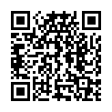 QR ЭНЕРЗАЙР БРИЖАЛЕР Инга+Сенс 150/50/160мкг