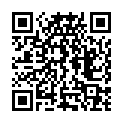 QR Мякоть перевязочная Pehazell 37х57см высота свинца 5кг