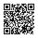 QR Подушка Swell Spots прямокутна L 18x42см конічна сумка