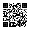 QR Leki Stick Wanderfreund Makalu Speed ​​​​Lock 2 63-120см алюміній 3 шт.