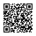 QR Cathereeplus iv Слит 80х95мм+44х51мм 30 шт