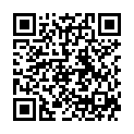 QR Twinco 6000-1 stool metal black