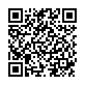 QR Bort MobiDig Finger Quengel Extension L сірий