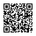 QR Bort Stabilonec Eco розмір 0 5,5см - 45см шкіра