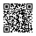 QR Туалетна сумка Reisenthel XL 4л твіст срібло