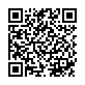 QR Sterillium Dispenser 475ml Noah Brown