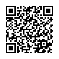 QR Сумка Absorin Comfort T-fit Ultra M Grey Bag 15 шт