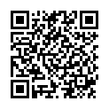 QR Дезінфікуючий спрей для рук Haenseler 100 мл
