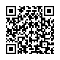 QR Пластир Liantong Chinese Herb Intense 10х14 см 5 шт