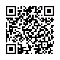 QR Вушні вкладиші Heine 1x Allspec 4,0 мм сірі 250 шт