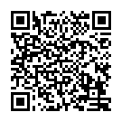 QR Флакон Bromex Foamer 150 мл