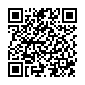QR Saniswiss Sanitizer Surfaces S1 Wipes 100 шт