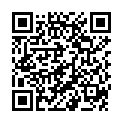 QR Bacillol 30 Sensitive Tissues 40 шт