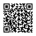 QR ID Belt L Maxi 14 шт