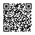 QR ID Belt S Maxi 14 шт