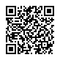 QR SN Ferrum metallicum Glob XMK 1 г