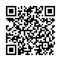 QR SN Ferrum metallicum Gran 200 K 4 г