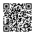 QR SN Graphites Glob CH 30 1 г