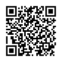 QR SN Carbo vegetabilis Gran CH 30 4 г