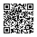 QR SN Ferrum metallicum Glob 200 K 1 г