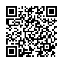 QR SN Ferrum metallicum Gran CH 5 4 г
