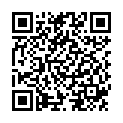 QR SN Ferrum metallicum Gran CH 7 4 г