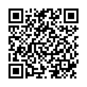 QR SN Graphites Glob CH 15 1 г