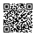 QR Fiesta Desinfektionstuch Hände+gegenstaende 30 Steril