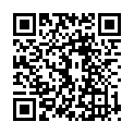 QR SN Graphites Glob CH 9 1 г