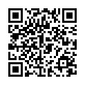 QR Herboristeria Grünteemischung Ingwer Zitr Beutel 80