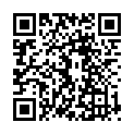 QR Sonnentor Спробуйте! Чай фруктовий в пакетиках 20 шт
