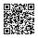 QR SN Graphites Glob 30 K 1 гр
