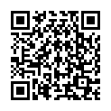 QR Ароматические палочки Faircense патч/мечта Азия 10 шт.