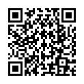 QR Змінні подушечки Farfalla для ароматизаторів для автомобіля та дому