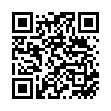QR NAVINA Anal Tampon Standard
