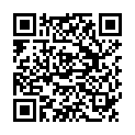 QR BORT Stabilo FA Rückenorthese Gr1 grau