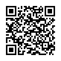 QR BORT VARIO Rückenband Pel S grau