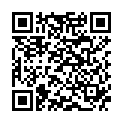 QR BORT VARIO Rückenband Pel XL grau