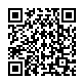 QR LOFRIC Insti-Cath CH12 40cm Tiemann