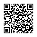 QR VT IMPULS AD KKL3 IV p/l gFs caramel