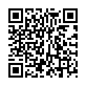 QR VT IMPULS AD KKL3 V p/l gFs caramel