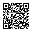 QR VT IMPULS AD KKL3 IV n/s gFs schwarz