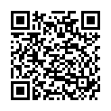 QR VT IMPULS AD KKL3 V n/l gFs schwarz