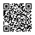 QR VT IMPULS AD KKL3 VI p/s gFs schwarz