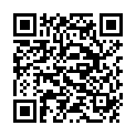 QR BORT StabiloGen Eco M mit Haftband kurz grau